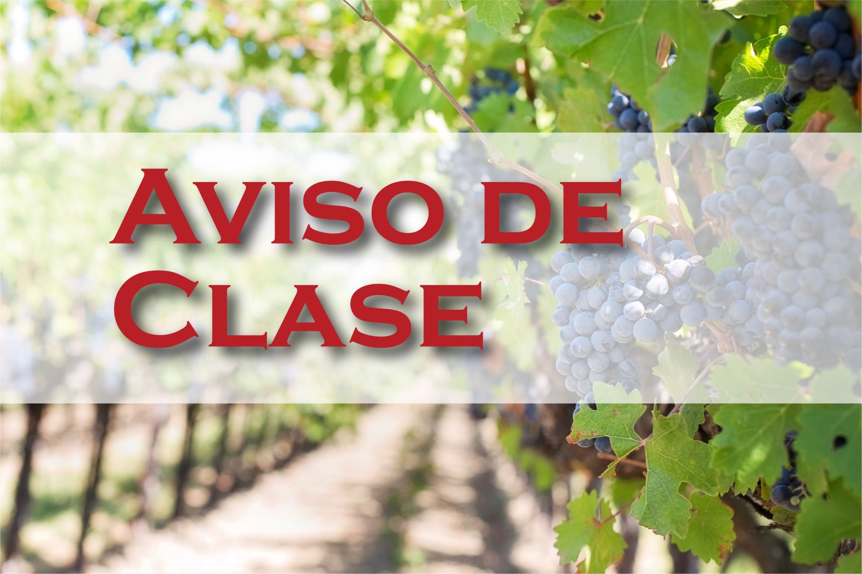 'Aviso de Clase - Rosas v. Sarbanand Farms'
