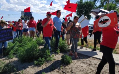 Los Trabajadores Demandan a Windmill Farms para Exigir un Trato Justo y Reconocimiento Sindical