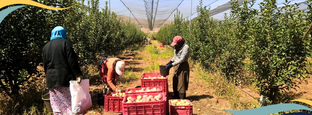 Case Update: Appeals Court Affirms Significance of Farmworker Wage Victory